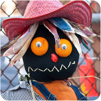 image of a scarecrow